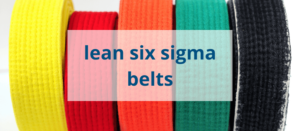 What Are Lean Six Sigma Belts? (Your Quick 5-Minute Guide)